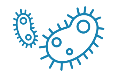 Bactericidas, fungicidas y acaricidas